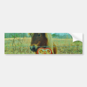 Miniature Brown horse Valentine Heart Bildekal