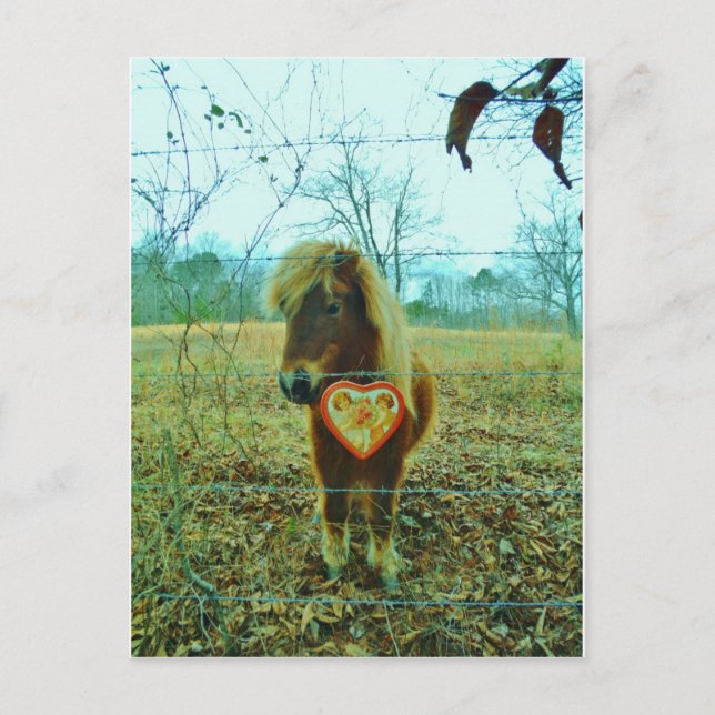 Miniature Brown horse Valentine Heart Helg Vykort (Framsida)