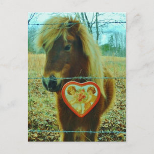 Miniature Brown horse Valentine Heart Helg Vykort