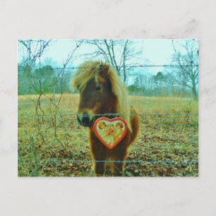 Miniature Brown horse Valentine Heart Helg Vykort
