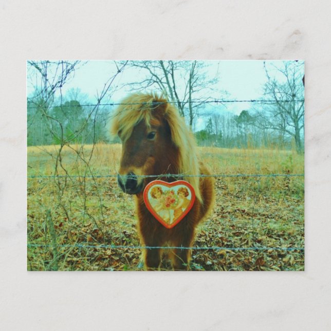 Miniature Brown horse Valentine Heart Helg Vykort (Framsida)