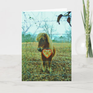 Miniature Brown horse Valentine Heart Helgkort