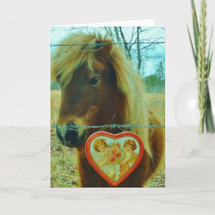 Miniature Brown horse Valentine Heart Helgkort