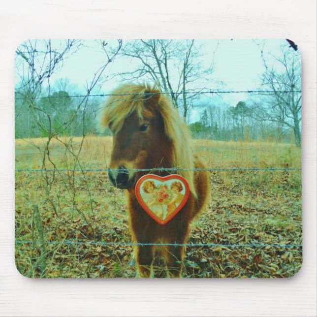 Miniature Brown horse Valentine Heart Musmatta (Framsidan)