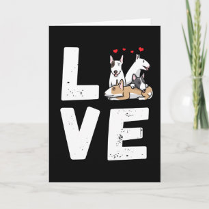 Miniature Bull Terrier Hund Kort