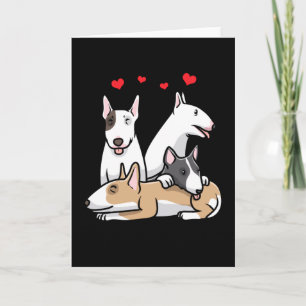 Miniature Bull Terrier Hund Kort