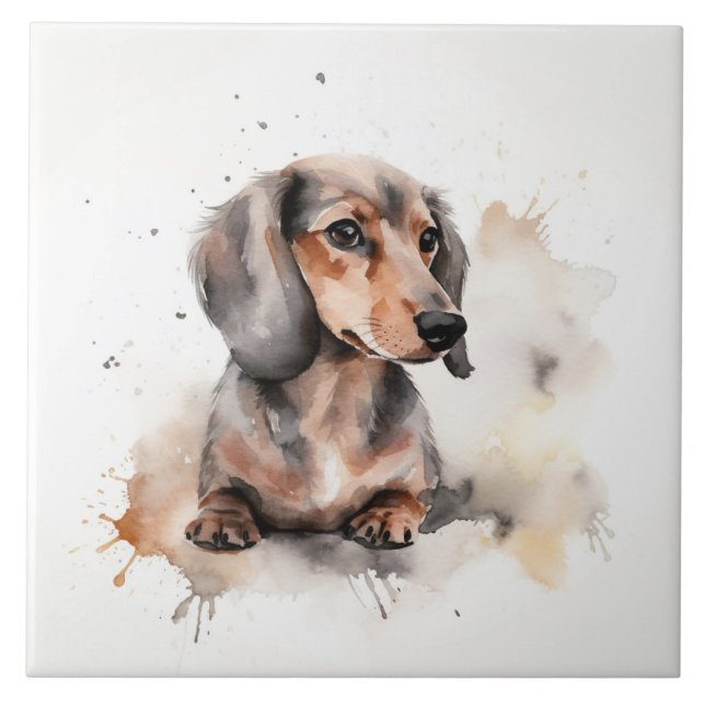 Miniature Dachshund Hund Watercolor pet Kakelplatta (Framsidan)