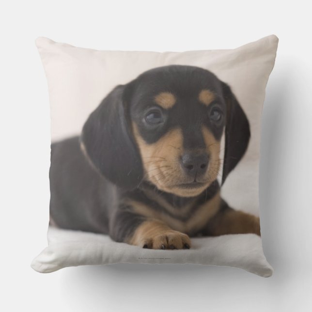 Miniature Dachshund Kudde (Framsida)