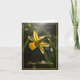 Miniature Daffodil Mother's Day Kort