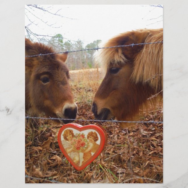 Miniature Donkey & Horse Valentine Heart (Framsida)