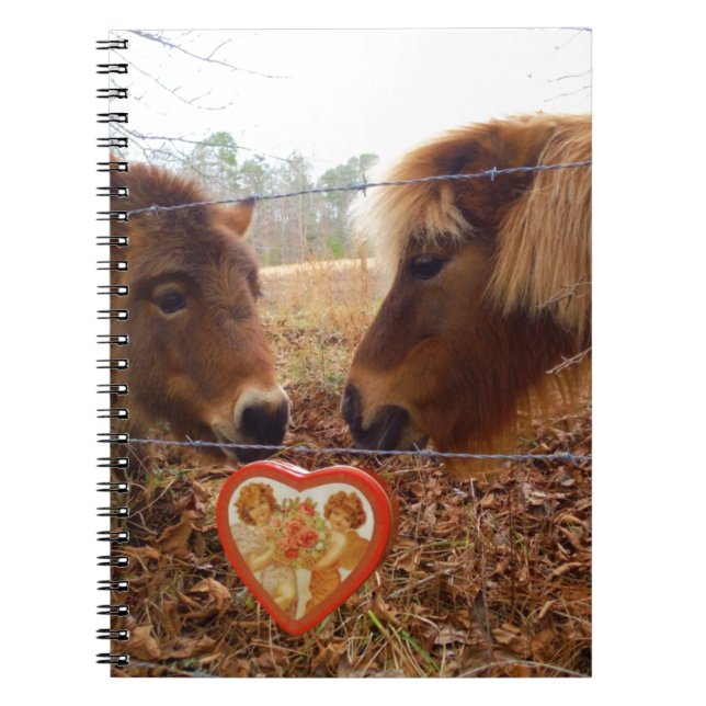 Miniature Donkey & Horse Valentine Heart Anteckningsbok Med Spiral (Framsidan)