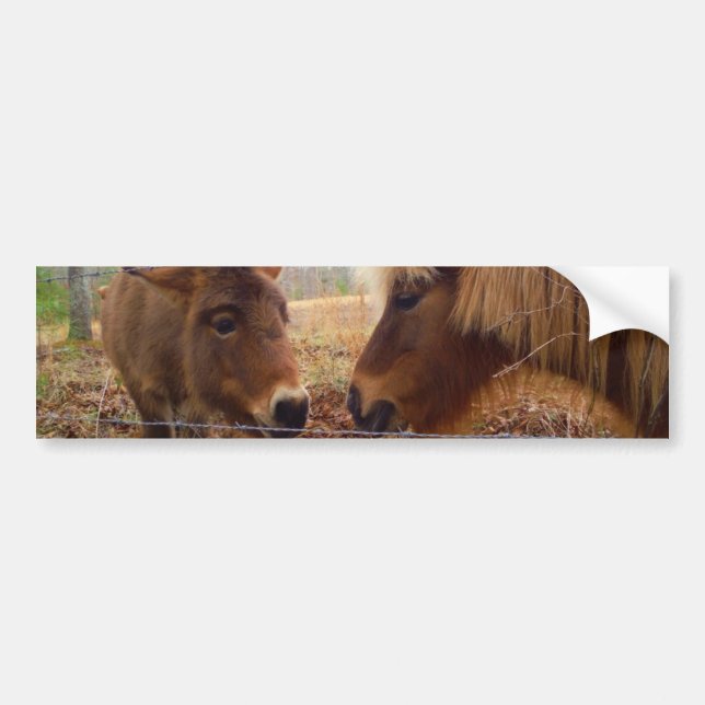 Miniature Donkey & Horse Valentine Heart Bildekal (Framsidan)