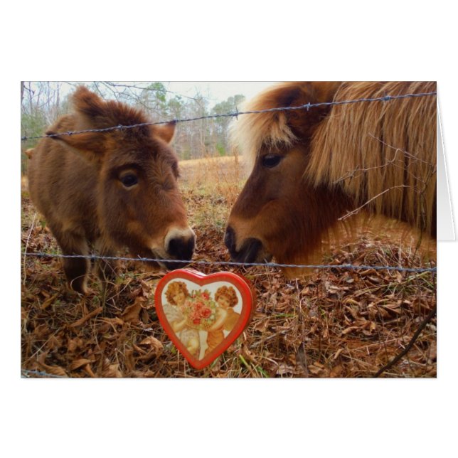 Miniature Donkey & Horse Valentine Heart Hälsningskort (Framsidan Horizontal)