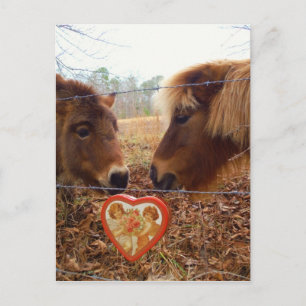 Miniature Donkey & Horse Valentine Heart Helg Vykort