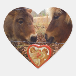 Miniature Donkey & Horse Valentine Heart Hjärtformat Klistermärke