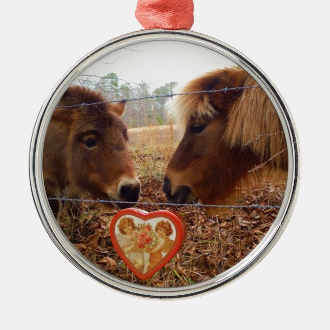 Miniature Donkey & Horse Valentine Heart Julgransprydnad Metall (Framsidan)