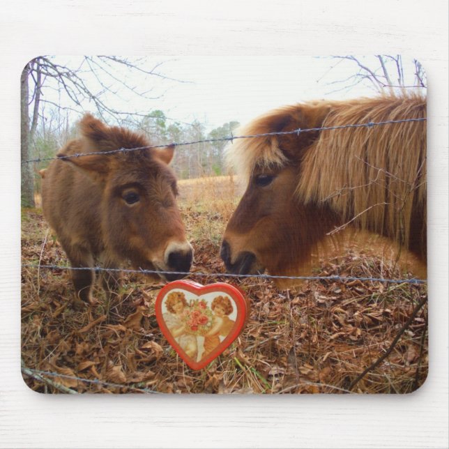 Miniature Donkey & Horse Valentine Heart Musmatta (Framsidan)
