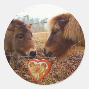 Miniature Donkey & Horse Valentine Heart Runt Klistermärke