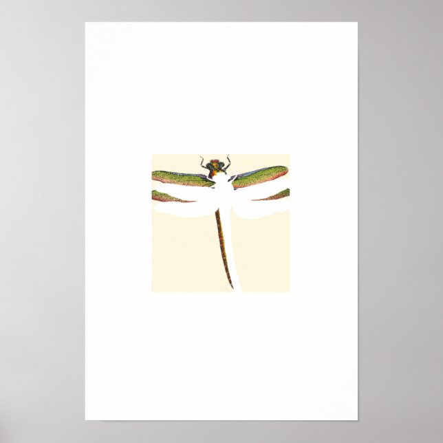 Miniature Dragonfly på White Background Poster (Framsidan)