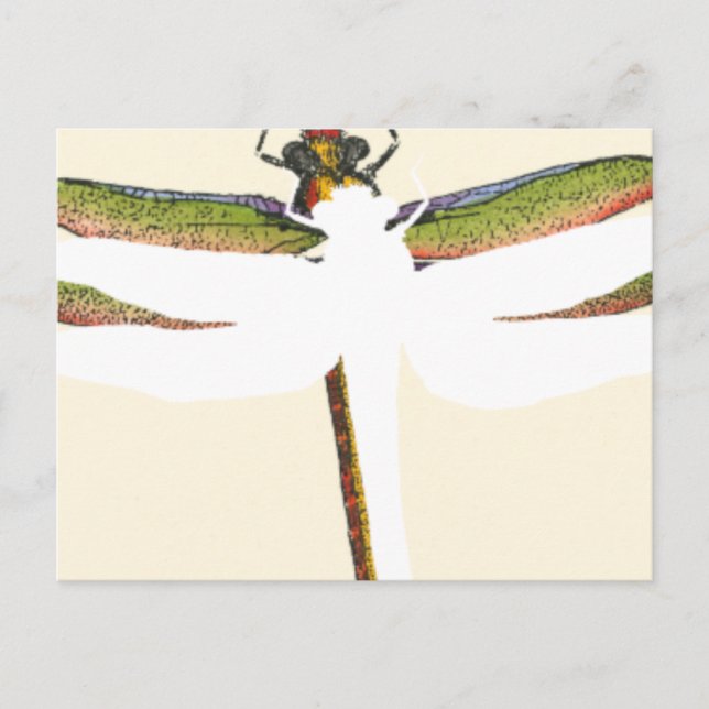 Miniature Dragonfly på White Background Vykort (Framsida)