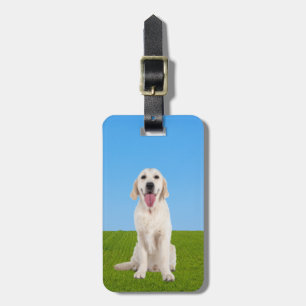 Miniature English Cream Golden Retriever Bagagebricka