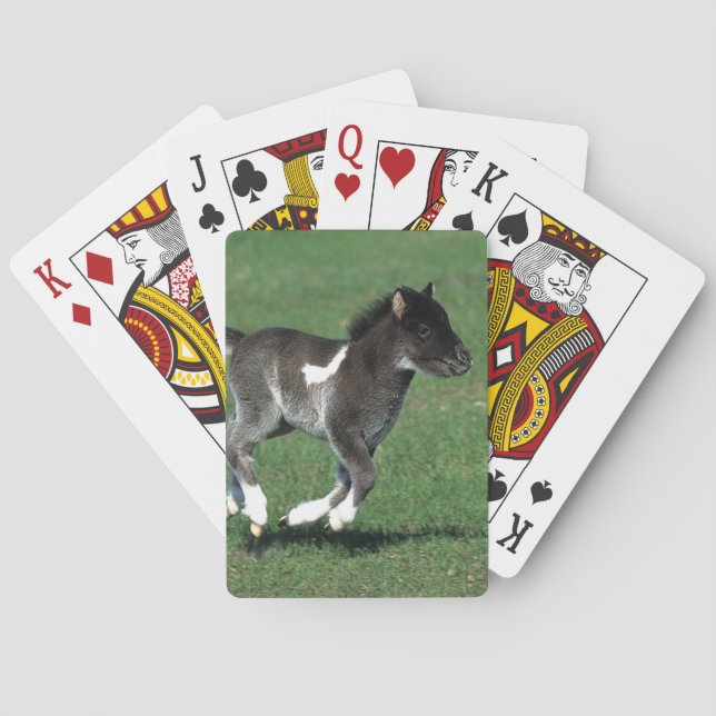 Miniature Foal Running Spelkort (Baksidan)