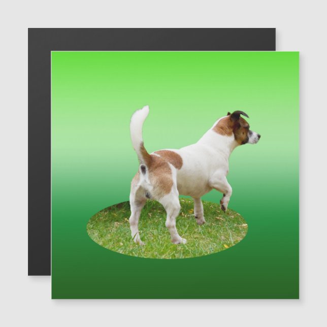 Miniature Fox Terrier Alert, Magnetic Card (Fram/baksida)