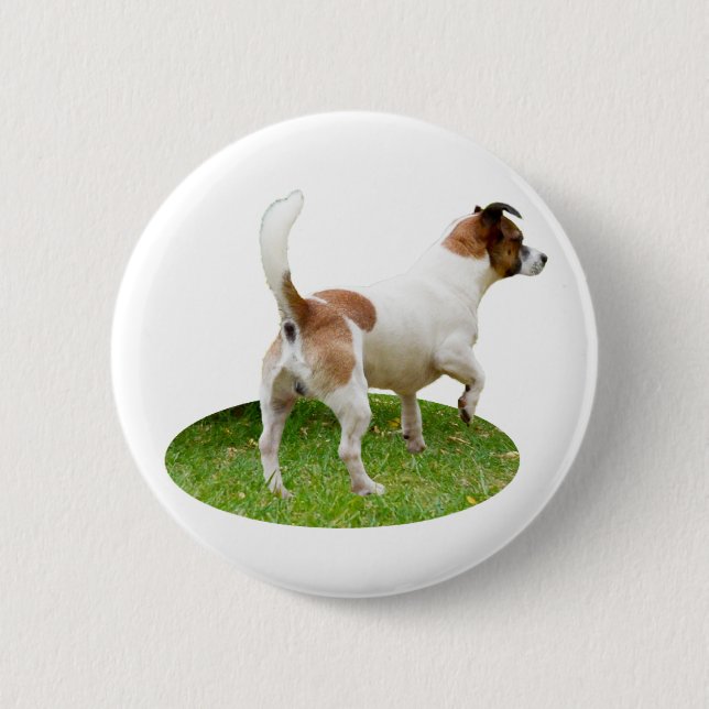 Miniature Fox Terrier Alert, Round Badge Knapp (Framsida)