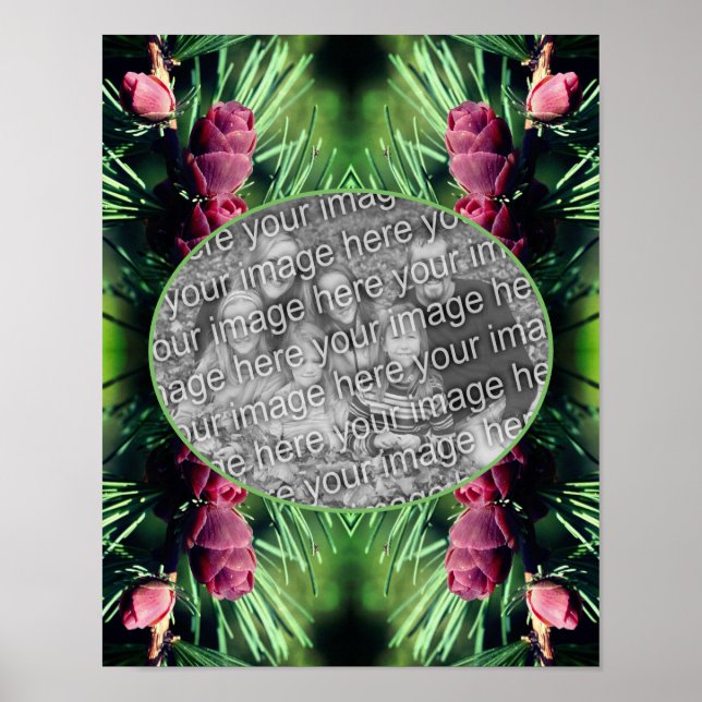 Miniature Gräs Cones Ram Skapar ditt eget foto Poster (Framsidan)