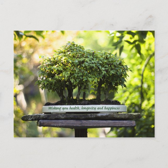 Miniature Grönt Forest Bonsai Pot Pedestal Lövs Vykort (Framsida)