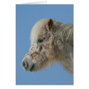 Miniature Horse Headshot Hälsningskort