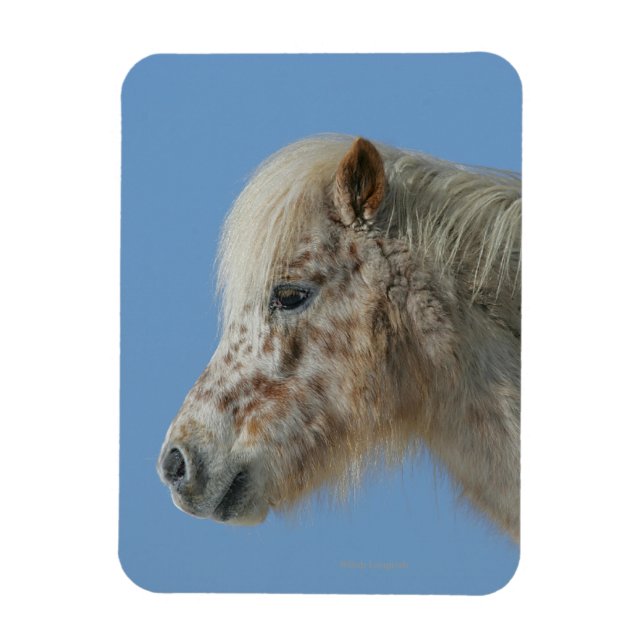 Miniature Horse Headshot Magnet (Vertikal)