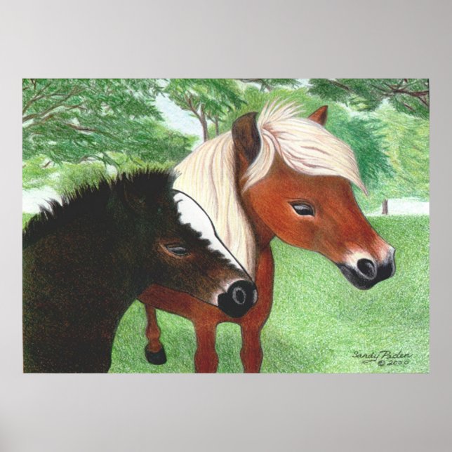 Miniature Horses Poster (Framsidan)