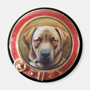 MINIATURE HUND PORTRÄTT Chocolate Labrador Magnet