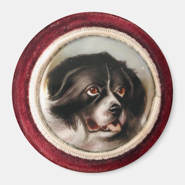 MINIATURE HUND PORTRÄTT Newfoundland Magnet (Framsidan)
