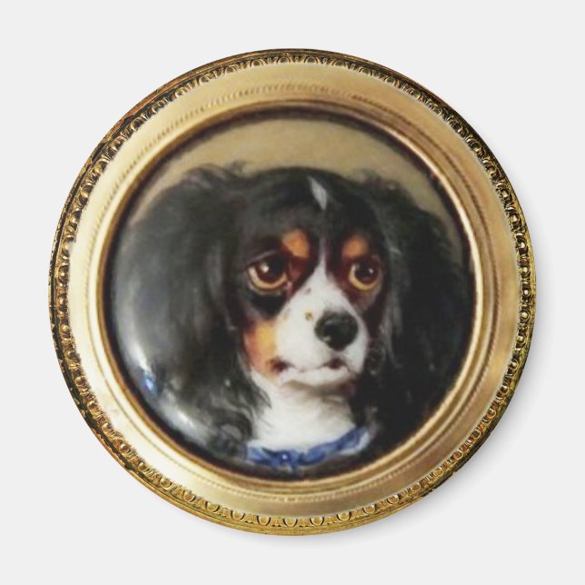 MINIATURE HUND PORTRÄTT Tricolor Spain Magnet (Framsidan)