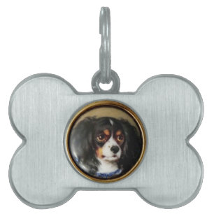 MINIATURE HUND PORTRÄTT Tricolor Spain Namnbricka Husdjur