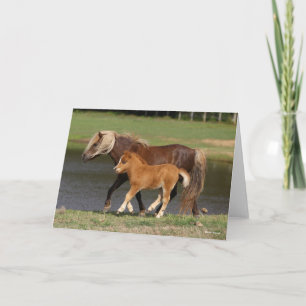 Miniature Mare and Foal Walking by Sjö Kort