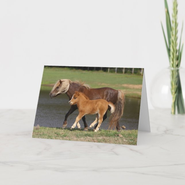 Miniature Mare and Foal Walking by Sjö Kort (Framsida)