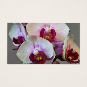 Miniature Orchid Visitkort