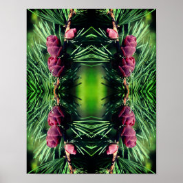 Miniature Pinecones Close Abstrakt Poster