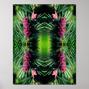 Miniature Pinecones Close Abstrakt Poster