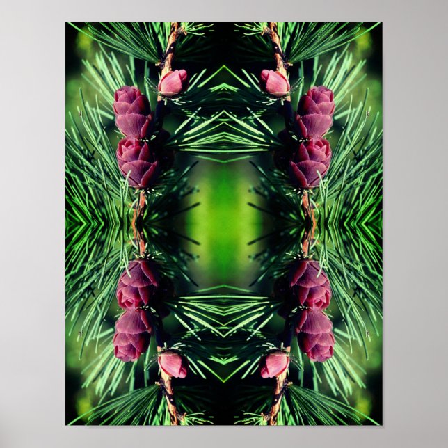 Miniature Pinecones Close Abstrakt Poster (Framsidan)