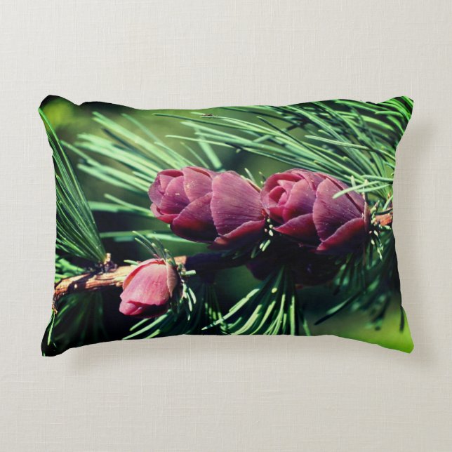 Miniature Pinecones Close Prydnadskudde (Framsidan)