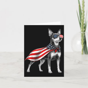 Miniature Pinscher 4 juli amerikansk flagga Kort