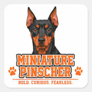 🐾 Miniature Pinscher Ägarfamiljsstolthet 🐾 Fyrkantigt Klistermärke