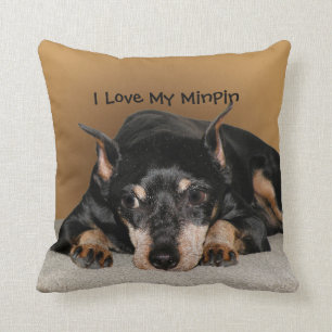 Miniature Pinscher alias Min Pin Kärlek Pet Namn Kudde