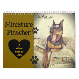 Miniature Pinscher År Kalender