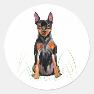 Miniature Pinscher-dekal, Min Pin hundälskare Runt Klistermärke