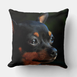 Miniature Pinscher dekorativ kudde